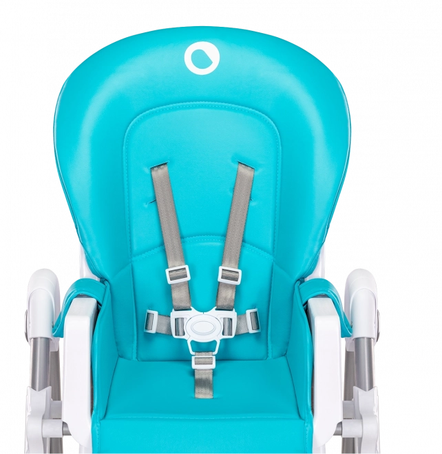 High Chair for Babies and Toddlers