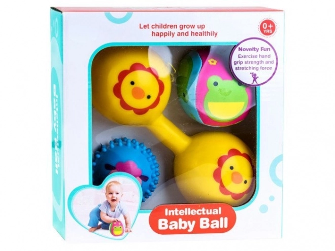 Colorful Soft Balls and Squeaky Rattles Set