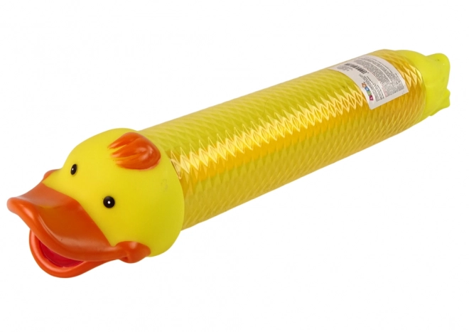 Water Toy Duck Water Gun Syringe