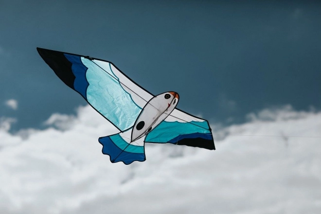 Kite Seagull 180