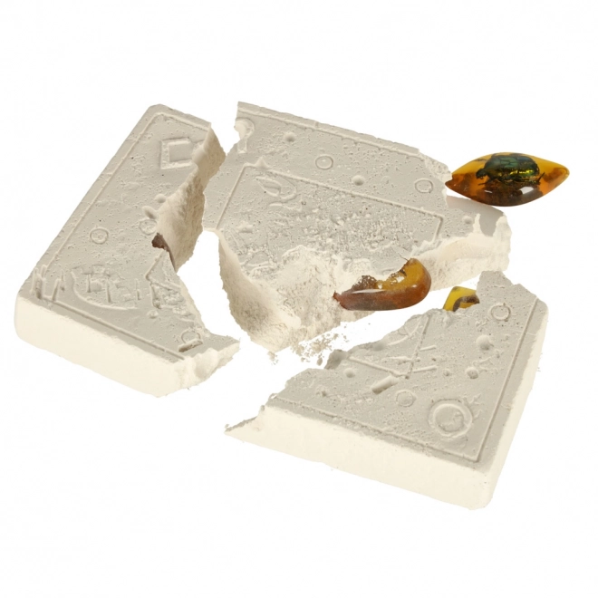 Educational Archaeological Excavation Set - Insects in Amber