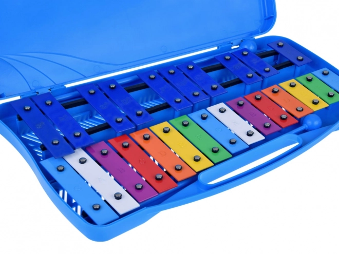 Chromatic Metal Xylophone for Children