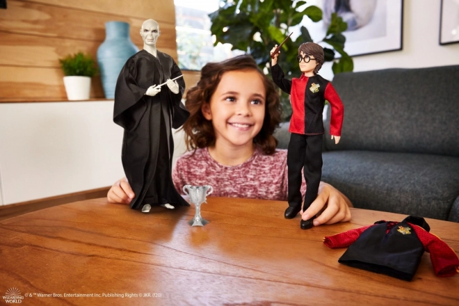 Harry Potter vs Voldemort Dolls 2-Pack