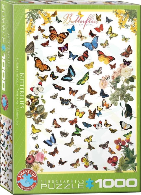 Colorful Butterfly Puzzle