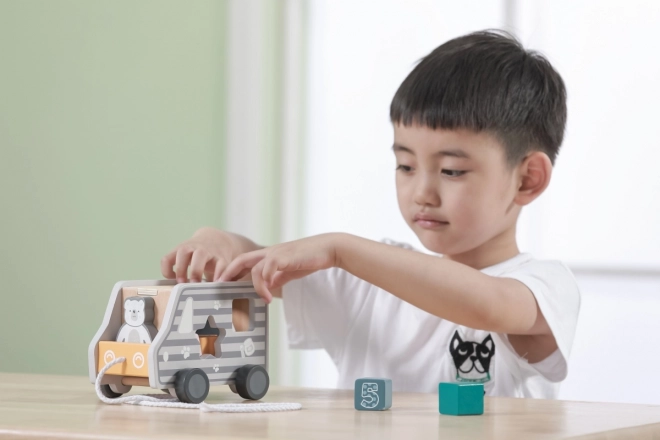 Wooden Pull Along and Shape Sorter Truck