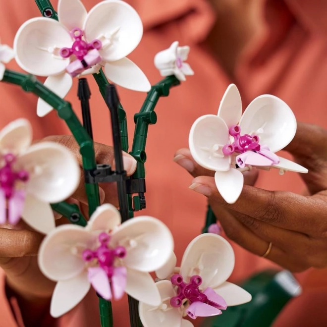 Lego Orchid Flower Display Set