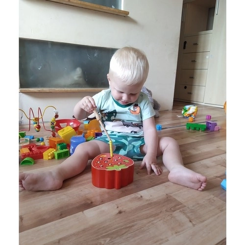 Wooden Magnetic Strawberry Game