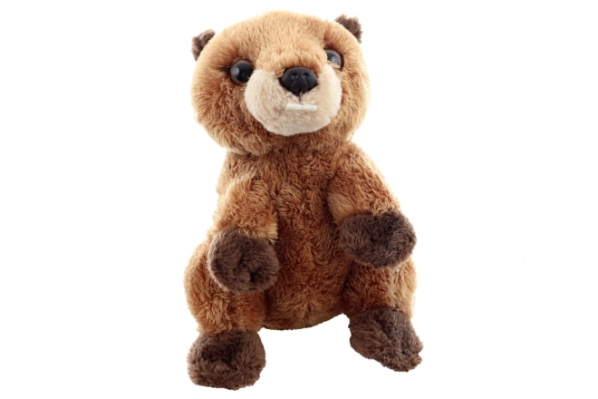 Eco-Friendly Plush Marmot