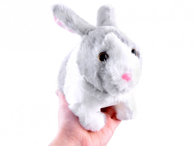 Interactive Bunny Toy with Carrot – gray