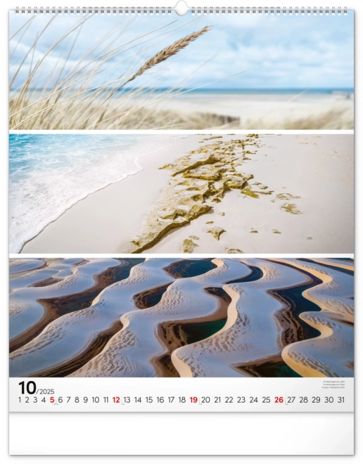 Wall Calendar Palette 2025