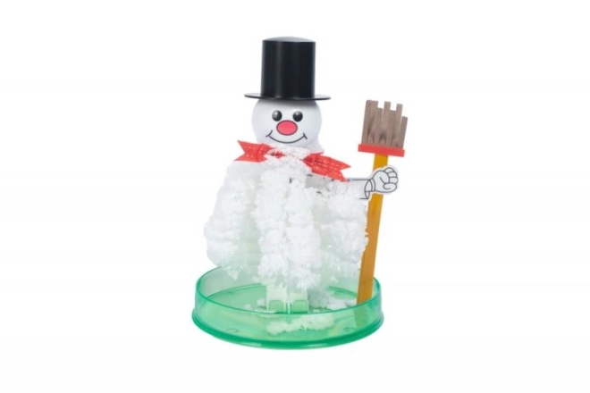 Magic Snowman Craft Kit