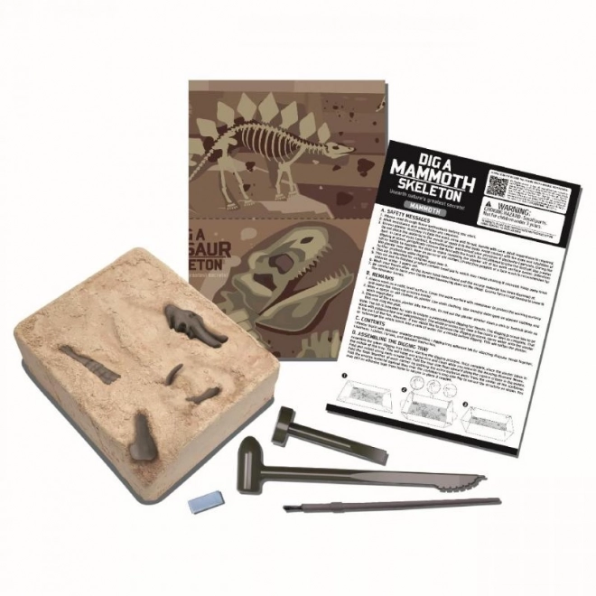 Dinosaur Skeleton Excavation Set