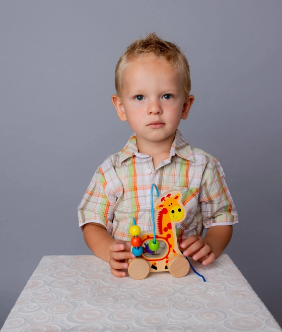 Pull-Along Giraffe Bead Maze Toy