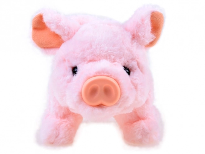 Interactive Plush Pig Friend