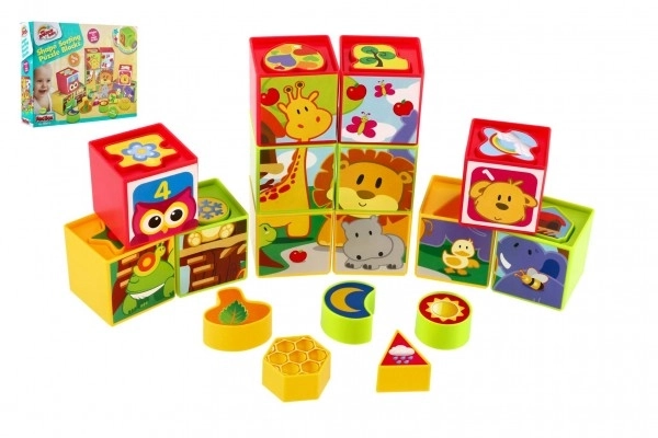 Cubes Shape Sorting Toy 12 Pieces