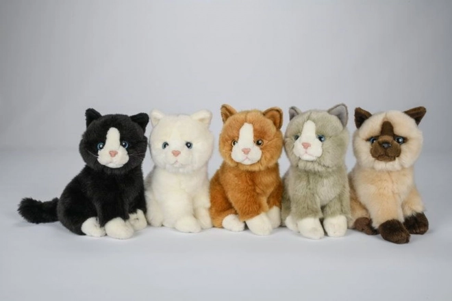 Plush Cat Toy