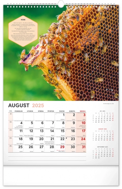 Wall Beekeeper Calendar 2025