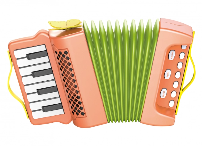 Pull-Along Accordion Toy