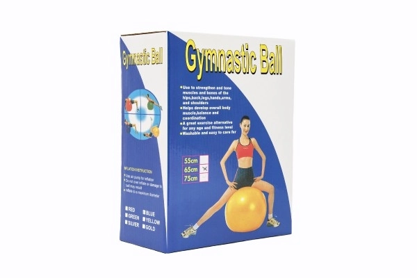 Gymnastic Ball for Rehabilitation and Relaxation