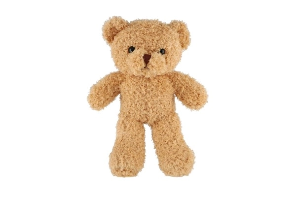 Plush Teddy Bear 30cm Curly Beige