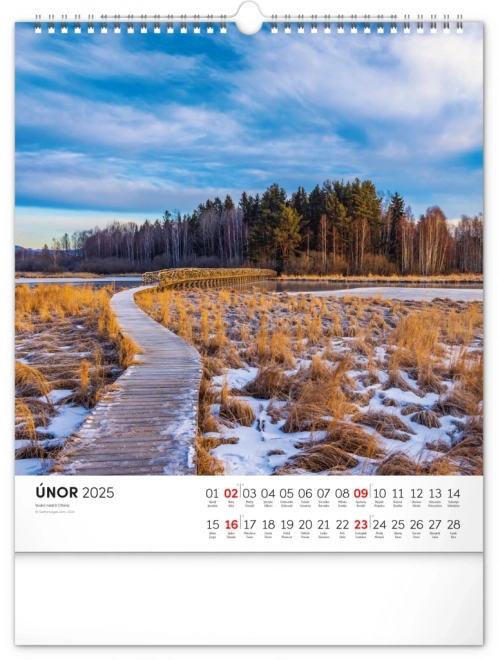 Wall Calendar Bohemian Forest 2025