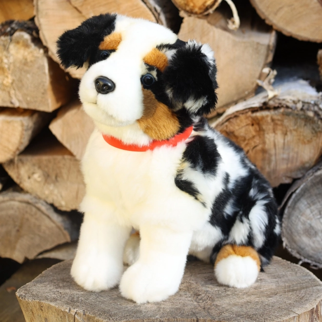 Toy Australian Shepherd Plush ECO-FRIENDLY