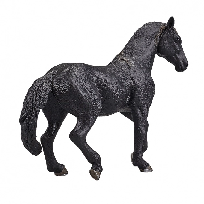 Mojo Andalusian Horse Black