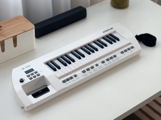 Electric Piano With Microphone Toy Instrument for Kids