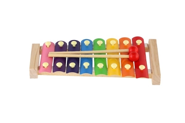 Colorful Wooden and Metal Xylophone with Mallets