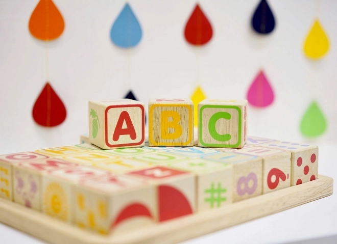 Multifunctional Wooden Alphabet Blocks by Le Toy Van