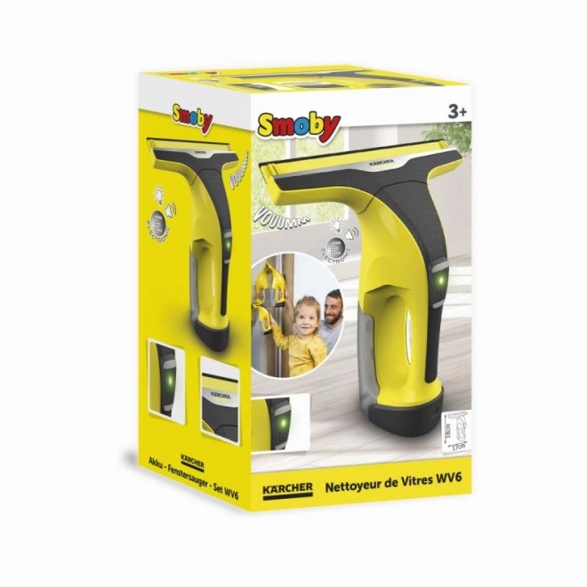 Window Cleaner Karcher