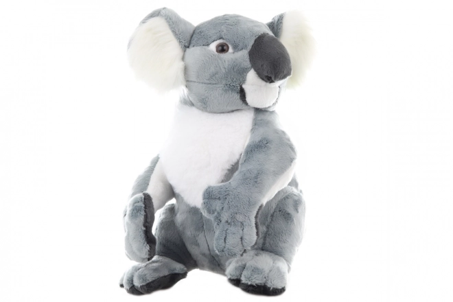 Large Plush Koala