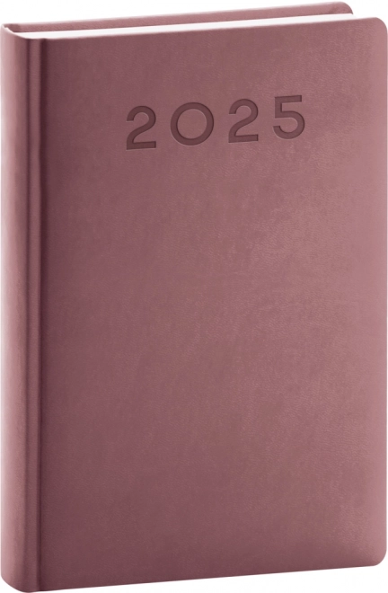 Daily Planner Aprint Neo 2025 Pink