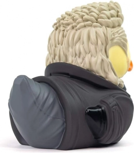 Collector packaging with window