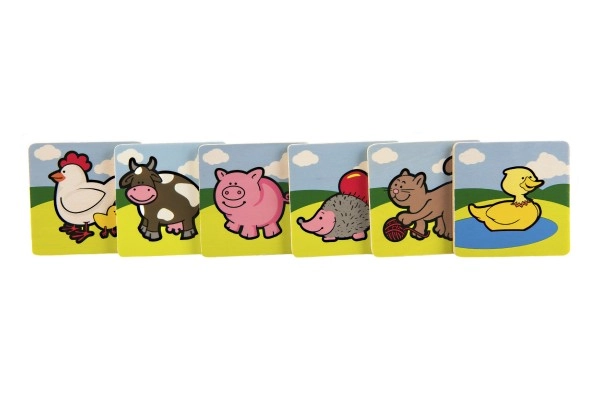 Beautiful animal illustrations kids love