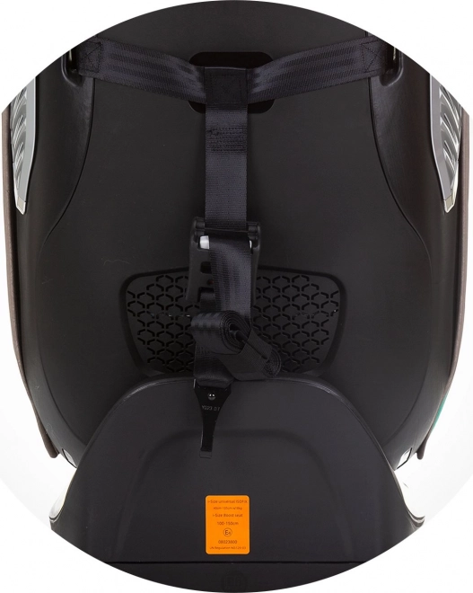 Chipolino Supreme Convertible Car Seat