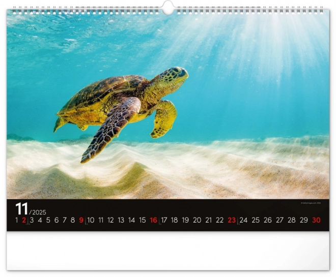 Wall Calendar Ocean 2025