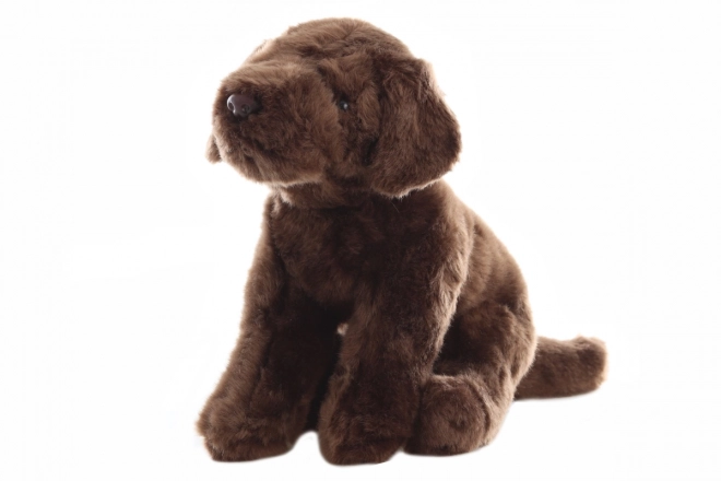 Plush Labrador 30 cm - Eco-Friendly