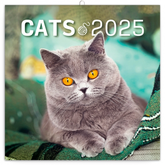 Notique Cat Lovers Monthly Calendar 2025