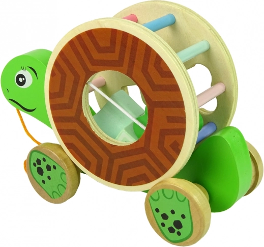 Safe wood and engaging colors
