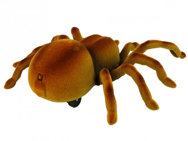 Remote Control Brown Tarantula Toy