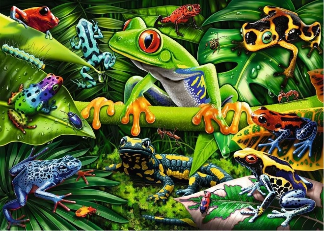 Amazing Amphibians Puzzle