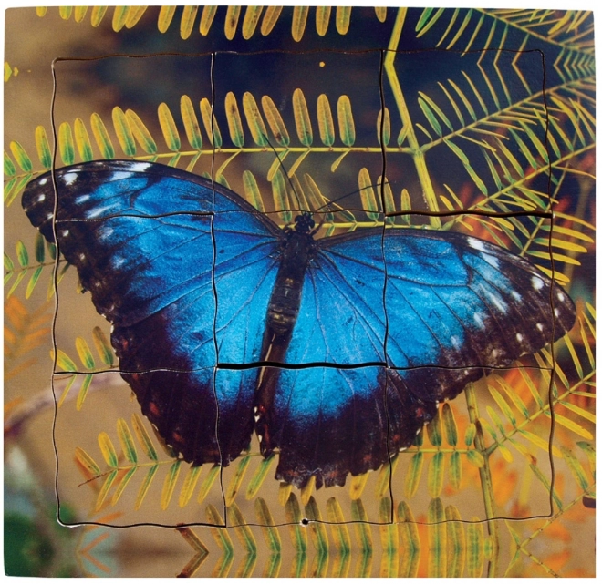 Butterfly Life Cycle Layered Wooden Puzzle