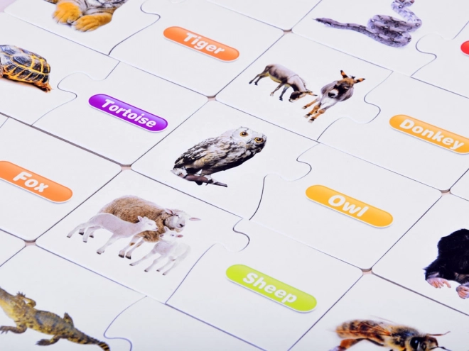 Educational English Animal Puzzle Set