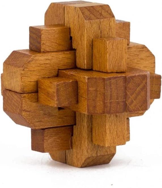Profesor Puzzle Great Minds: Femmes célèbres 5 en 1