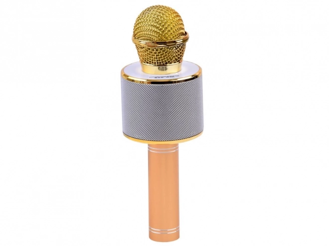 Wireless Karaoke Microphone Speaker – Gold