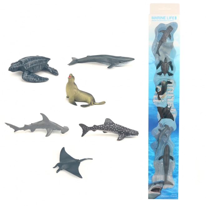 Set of Sea Animals in Box