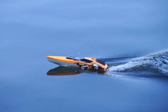 Remote Control Boat Sea Hawk