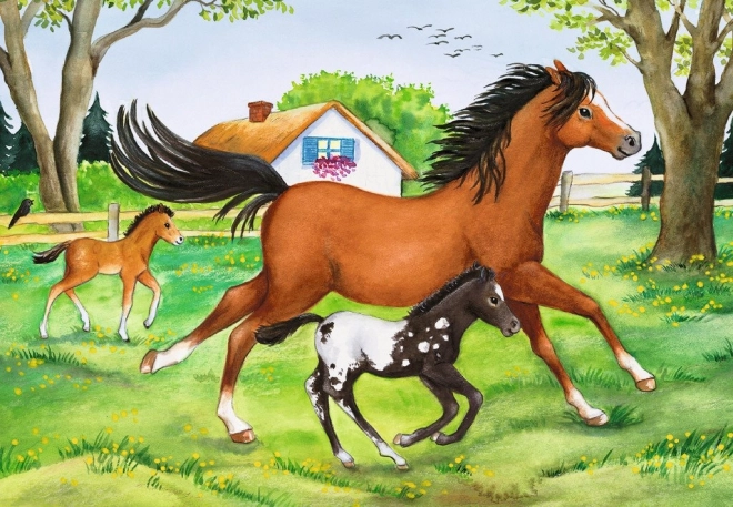 Ravensburger Horse World Puzzle Set