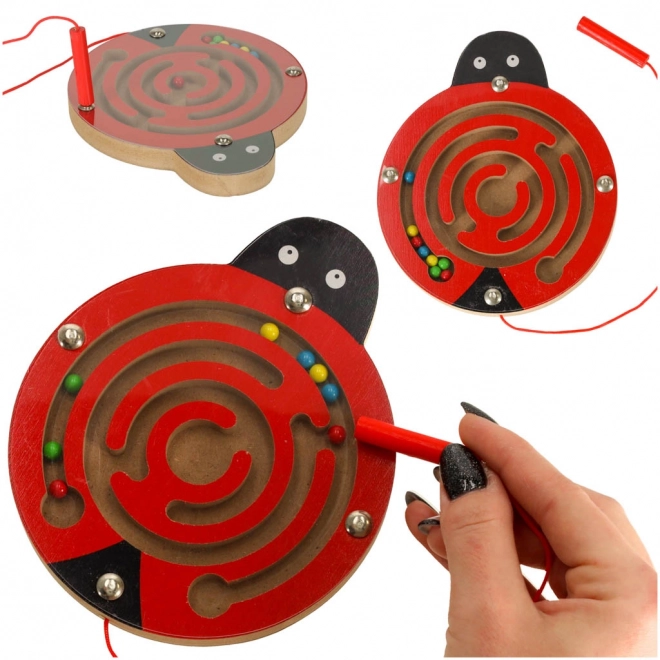 Magnetic Ladybug Maze